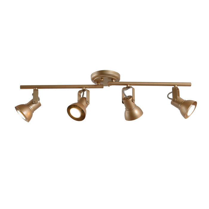 LNCHome Aldrich 29'' 4 Light Swing Arm Track Lighting Track Kit with